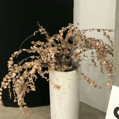 Furry插画构图实用思路FurryQQ群